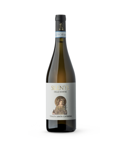 Silente delle Marne