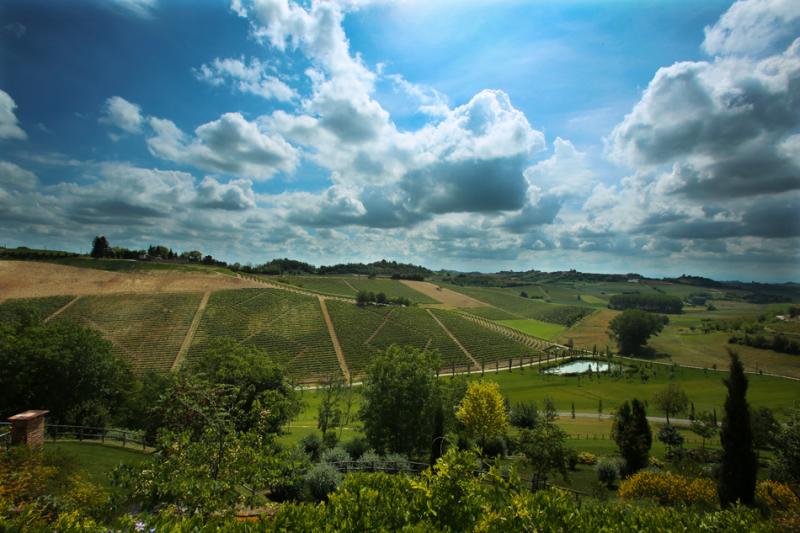4-vigneti-panoramica