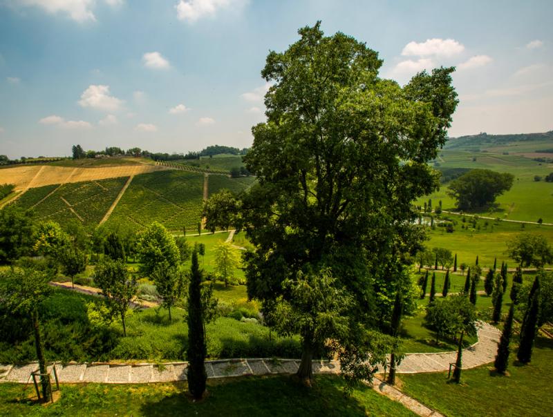 4-vigneti-panoramica-2